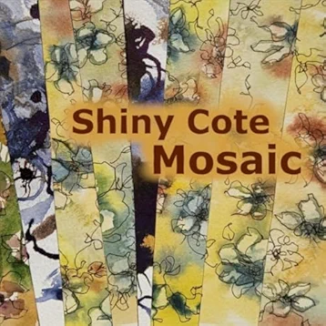 Album Mosaic by Shiny Cote